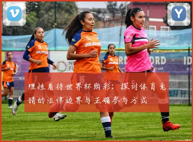 理性看待世界杯购彩：探讨体育竞猜的法律边界与正确参与方式