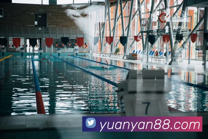 9游会官网发展历程